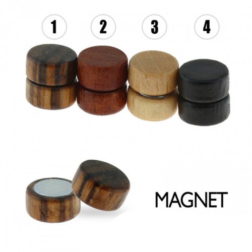 Magnete falso plug - magnete,