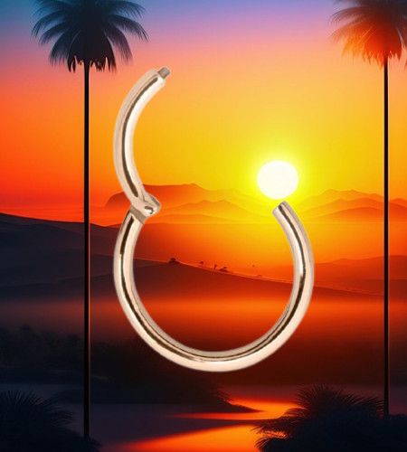Piercing clicker ring erotico - piercing,