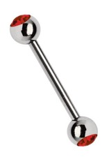 Piercing Per Orecchio Barbell